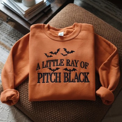 Embroidered A Little ray of Pitch Black Sweatshirt