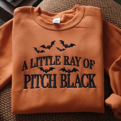 Embroidered A Little ray of Pitch Black Sweatshirt